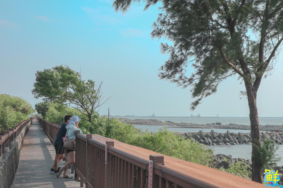 秋遊就選北高雄!「2025海線潮旅行」開放報名 四條遊程帶你一覽海線風光