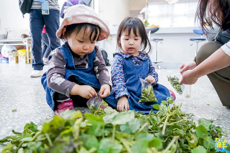 秋遊就選北高雄!「2025海線潮旅行」開放報名 四條遊程帶你一覽海線風光