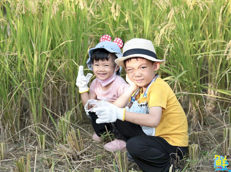 秋遊就選北高雄!「2025海線潮旅行」開放報名 四條遊程帶你一覽海線風光