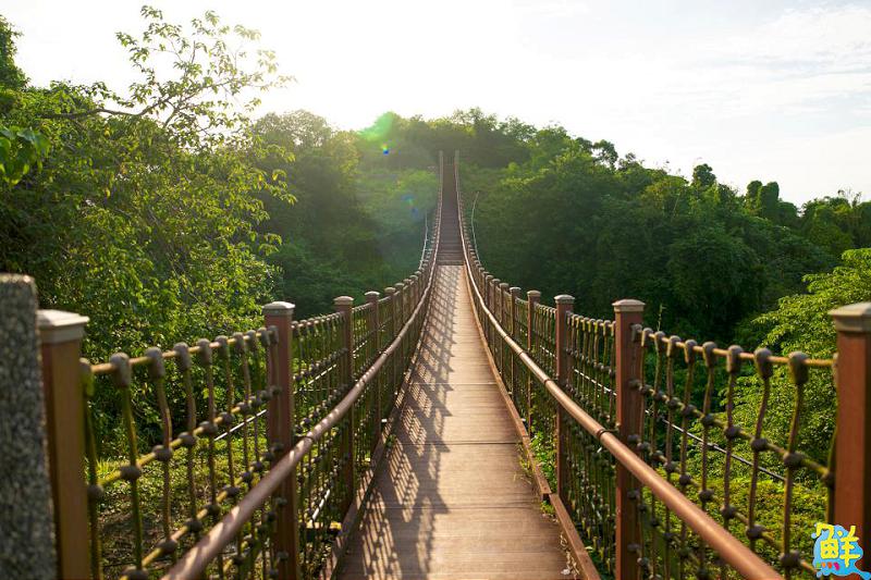 秋遊就選北高雄!「2025海線潮旅行」開放報名 四條遊程帶你一覽海線風光