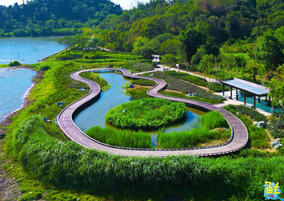 高雄生態新亮點！觀音湖華麗變身  勇奪2025建築園冶獎及國家卓越建設獎
