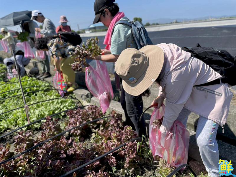 2025客家大地餐桌系列活動 帶民眾來場飲食與產地的深度旅行