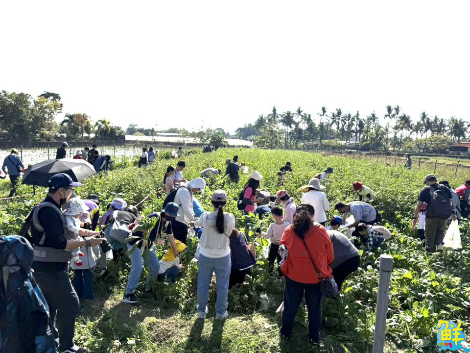 高市府客委會與火焰蟲非營利幼兒園合辦農事體驗活動 帶孩子認識客家飲食與文化