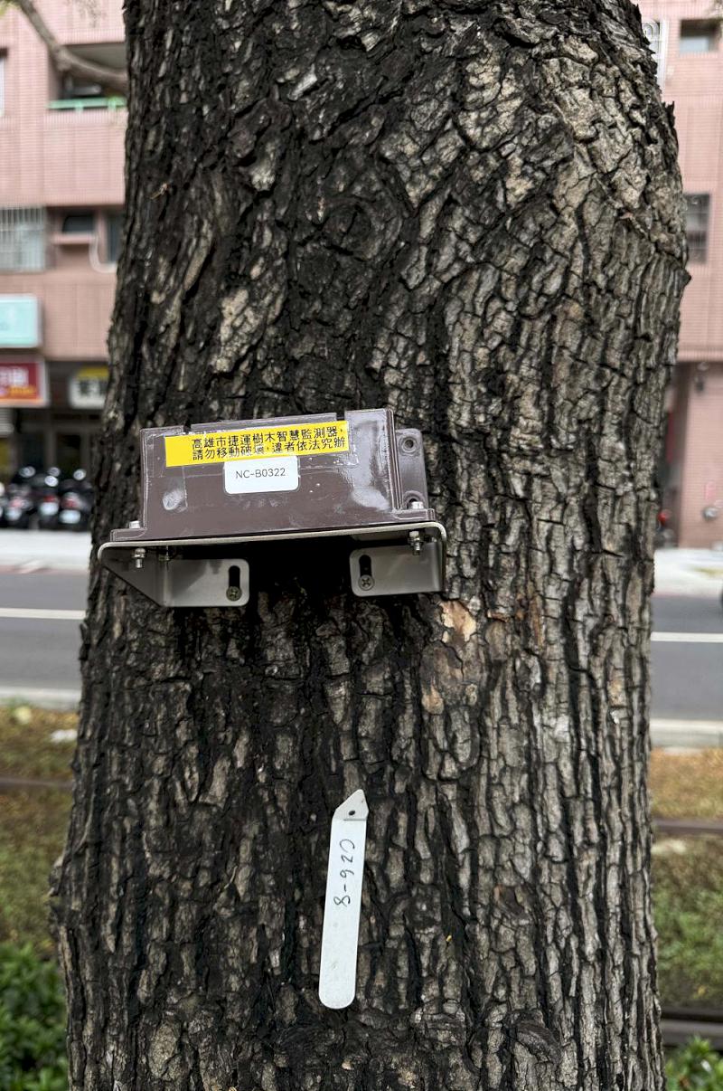 高市捷運局建置輕軌人工智慧儀監測樹群傾斜 維護行車及用路人安全