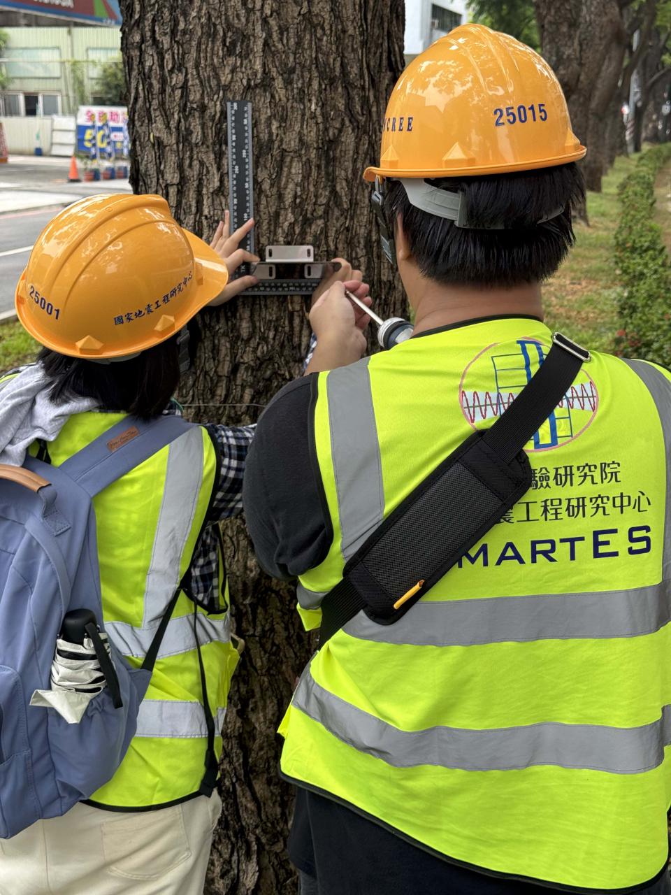 高市捷運局建置輕軌人工智慧儀監測樹群傾斜 維護行車及用路人安全