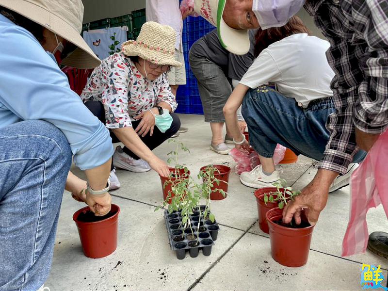 2025客家大地餐桌「右堆秋收食旅」帶民眾體驗客家風土魅力