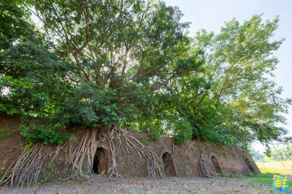 「寮寮小時光」12/20、21登場 親子活動、小旅行、市集 讓遊客感受大寮魅力