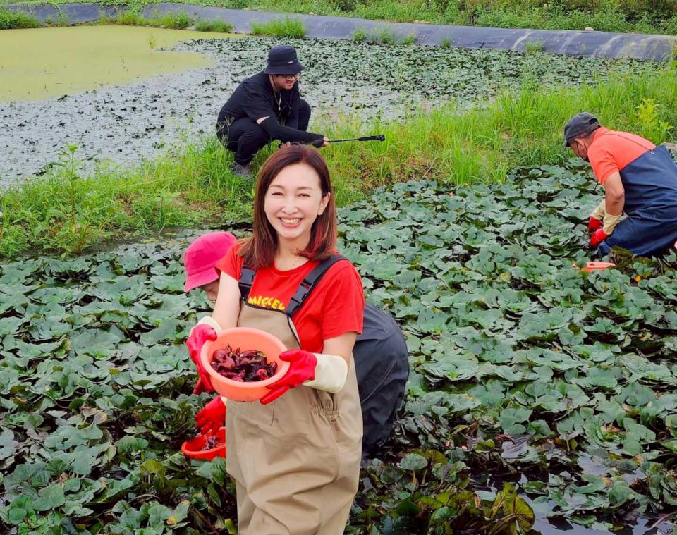 高市議員李雨庭領軍林園社區幹部訪大寮拷潭社區 認識生態品嘗現煮菱角體驗手作樂