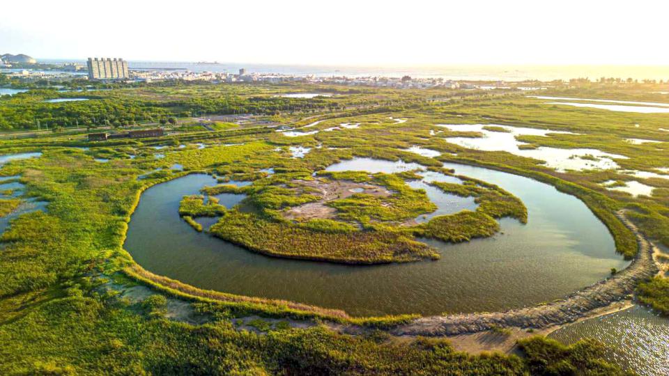 秋冬出遊選高雄!演唱會、美食活動接力登場 打造最充實城市週末