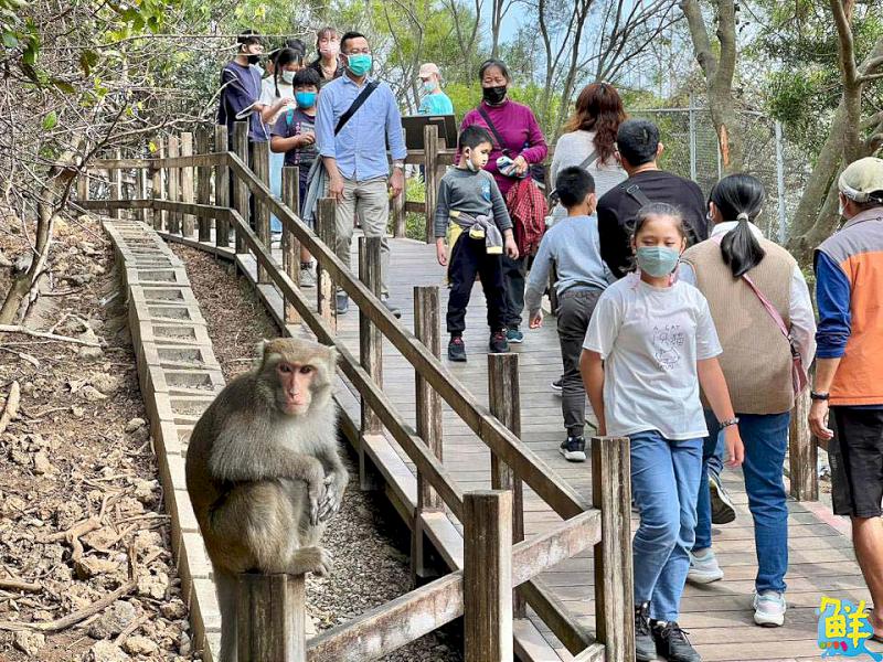 壽山動物園舉辦告示牌設計大賽  同步慶祝「光室咖啡」兩週年