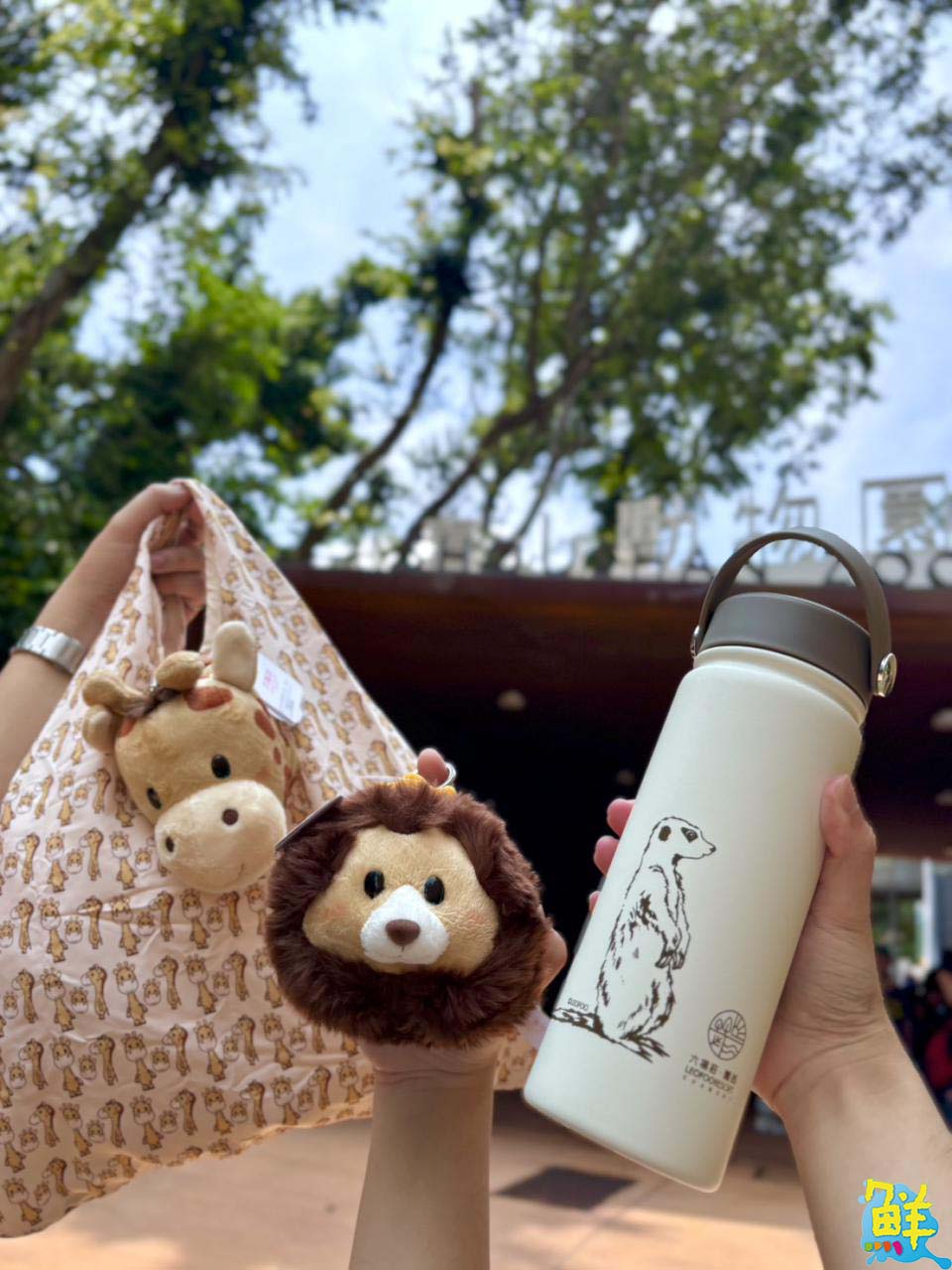 壽山動物園舉辦告示牌設計大賽  同步慶祝「光室咖啡」兩週年