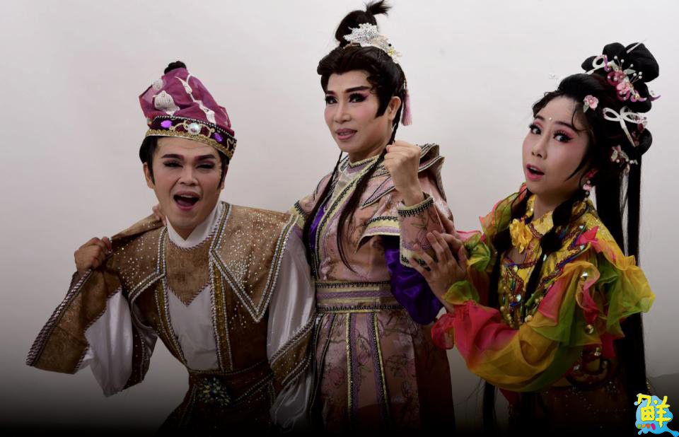 全台首創！歌仔戲跨界動保　《藝起集愛、浪愛無限》明年登場