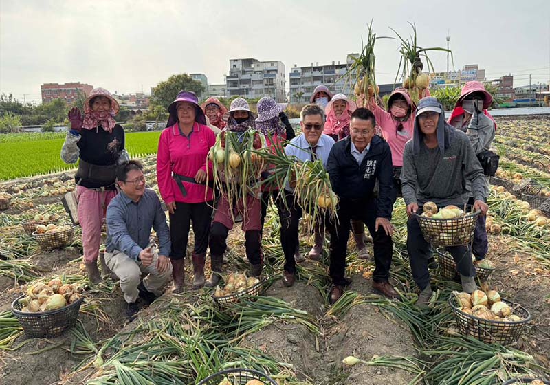 高市林園區農會精選大球洋蔥宅配禮盒開放預定 造勢加溫區公所3月林園洋蔥節