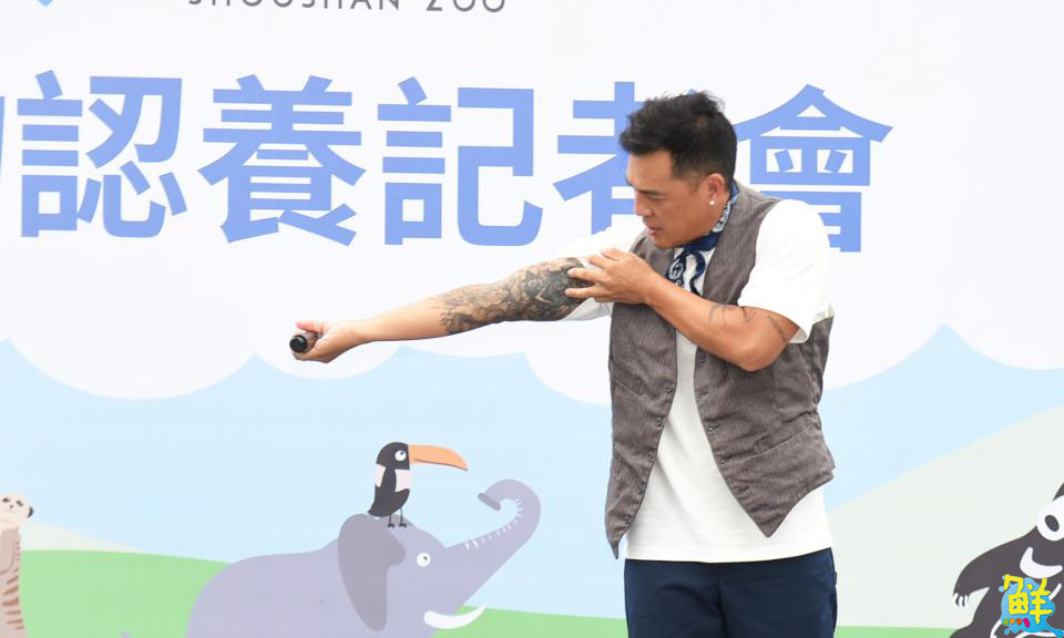 竇智孔跨界代言   壽山動物園「老虎棲架計畫」獲企業響應