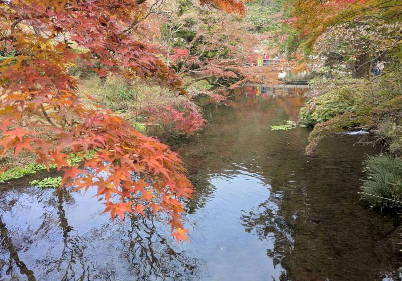 【日本生活旅遊】意外的相遇，意外的紅葉小旅行--由布院、大分