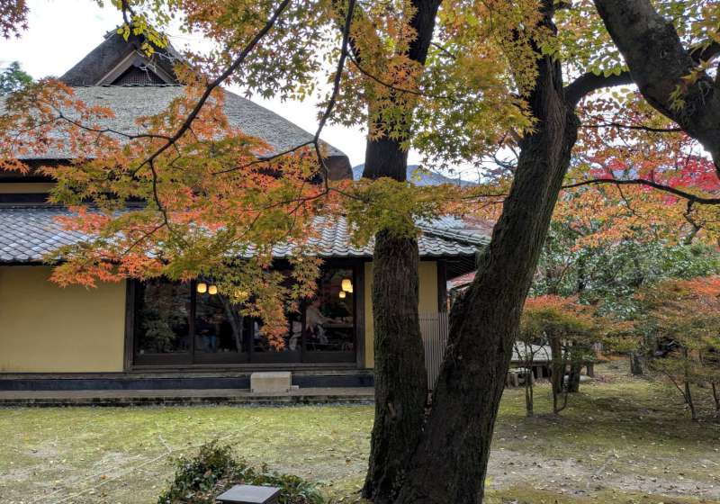 【日本生活旅遊】意外的相遇，意外的紅葉小旅行--由布院、大分