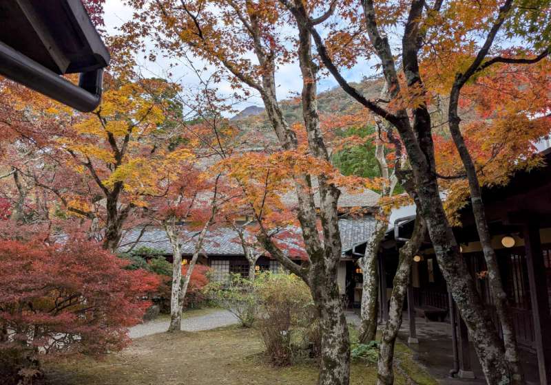 【日本生活旅遊】意外的相遇，意外的紅葉小旅行--由布院、大分
